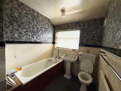 Picture 8